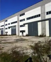 Rifcapannone nv - Magazzino in Affitto a Pisa - Pta a Mare di 1700 mq