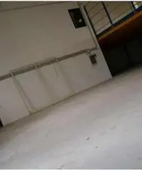 Affitto Capannone in A1 Diramazione Roma Sud