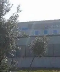 Vendita Capannone in via di colonna, colle mainello