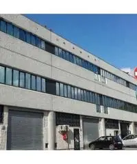 Vendita Capannone in via degli Olmetti Vendita Capannone in via degli Olmetti