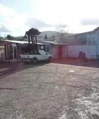 Vendita Capannone in Via Colle di Fuori Vendita Capannone in Via Colle di Fuori