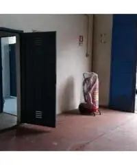 Vendita Capannone in Via Trinitad, 10 Vendita Capannone in Via Trinitad, 10