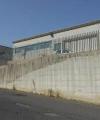 Vendita Capannone in via delle Industria 2 Vendita Capannone in via delle Industria 2