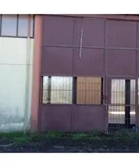 Vendita Capannone in via braccianese claudia km 18,700 Vendita Capannone in via braccianese claudia km 18,700