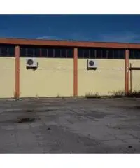 Vendita Capannone in via braccianese claudia km 18,700 Vendita Capannone in via braccianese claudia km 18,700