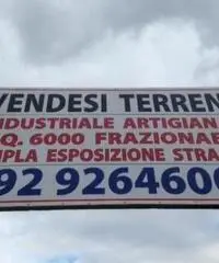 Vendita Capannone in Via di Colonna Vendita Capannone in Via di Colonna