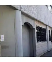 Vendita Capannone in via degli Olmetti Vendita Capannone in via degli Olmetti