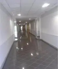 Vendita Magazzino in Via degli Olmetti Vendita Magazzino in Via degli Olmetti