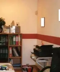 Rif: 0023782366/15ESLUrigolfoTOLZ - Capannone in Vendita a Trofarello Rif: 0023782366/15ESLUrigolfoTOLZ - Capannone in Vendita a Trofarello