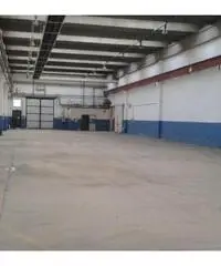 Rif: Capuano - CAPANNONE DI 1050MQ A MONCALIERI Rif: Capuano - CAPANNONE DI 1050MQ A MONCALIERI