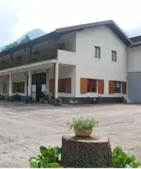 Vendita Capannone da 1100mq