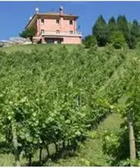 Commerciale in vendita a Asolo