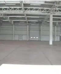 Affitto Capannone da 1200mq Affitto Capannone da 1200mq