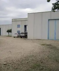 in affitto Professionale magazzino S.S.NAPOLEONICA mq 1998