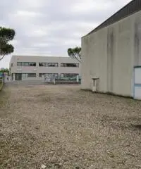 in affitto Professionale magazzino S.S.NAPOLEONICA mq 1998