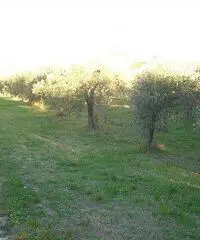 Lanciano Vendita Terreno