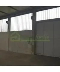 Affitto Capannone da 285mq Affitto Capannone da 285mq