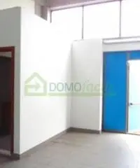 Affitto Laboratorio da 240mq con ascensore Affitto Laboratorio da 240mq con ascensore