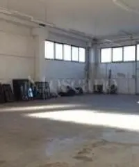 Vendita Capannone in Via dell'Agricoltura