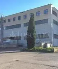 Vendita Capannone in Via dell'Agricoltura