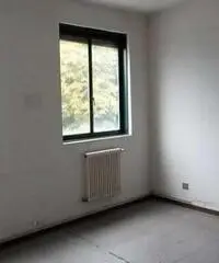 Affitto Capannone da 1000mq Affitto Capannone da 1000mq