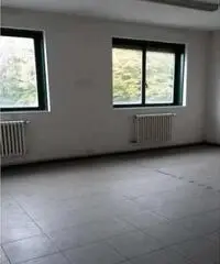 Affitto Capannone da 1000mq