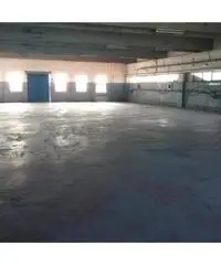 Affitto Capannone in Via Mario Betti