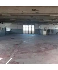 Affitto Capannone in Via Mario Betti