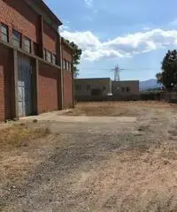 Vendita Capannone da 2500mq