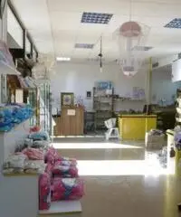 Vendita Capannone in Via Bugnano Vendita Capannone in Via Bugnano