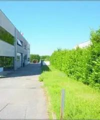 Rif: 915/16 - Capannone in Vendita a Binago