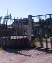 affitto magazzino capannone con piazzale carico e parcheggio uso commerciale uffici da 30 a 2000mq