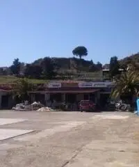 affitto magazzino capannone con piazzale carico e parcheggio uso commerciale uffici da 30 a 2000mq