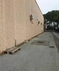 Affitto Capannone in viale VIA DEL LAVORO