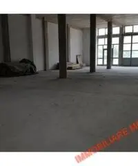 CAPANNONI MAGAZZINI - ARTIGIANALE - BAGNO A RIPOLI