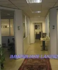 Vendita Capannone Vendita Capannone