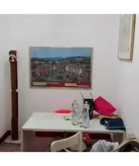 Vendita capannone mq. 450 - Zona Molassana