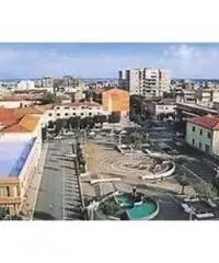 Camilleri: Vendita Capannone in Via Pontina