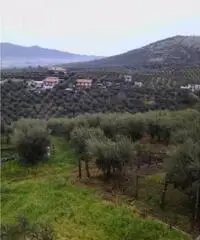 Rif: 85 - Magazzino in Vendita a Rocca Massima