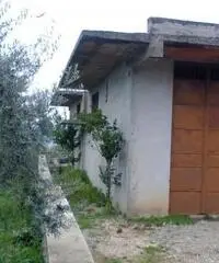 Rif: 85 - Magazzino in Vendita a Rocca Massima