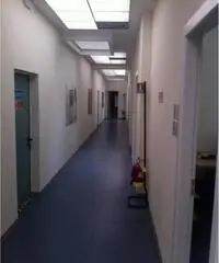 Affitto Capannone da 1420mq