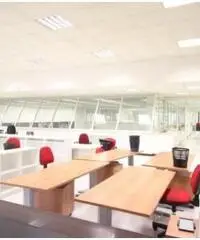 Affitto Capannone in Viale Italia