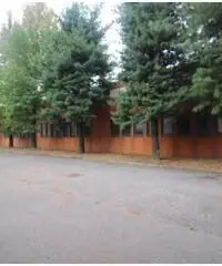 Affitto Capannone in Via Antonio Canova Affitto Capannone in Via Antonio Canova