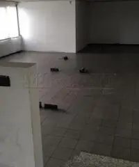 Passirana: Affitto Capannone