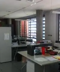 Vendita Capannone da 2400mq