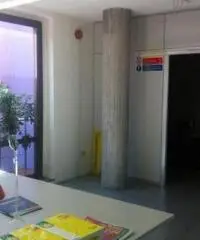 Vendita Capannone da 2400mq