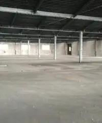 Vendita Capannone da 30800mq