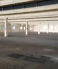 Vendita Capannone da 30800mq