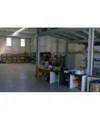 Vendita Capannone da 740mq