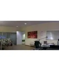 Vendita Capannone da 740mq